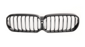 BMW G30 5 Series Kidney Grilles