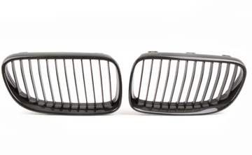 BMW X1 E84 Kidney Grilles